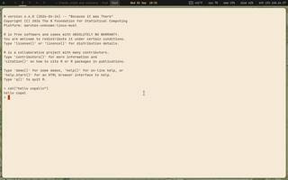 R (statistics), running on Copal