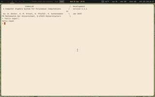 Singular (polynomial algebra), running on Copal