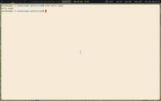 Alacritty (GPU - fast, needs OpenGL), running on Copal