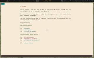 Amfora (gemini browser), running on Copal