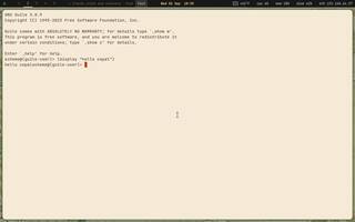 Guile (Scheme), running on Copal