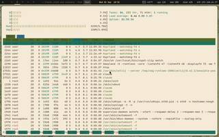 htop (process viewer), running on Copal