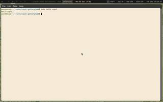 LXTerminal (light GTK, tabs), running on Copal