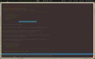 Lynx (text web + gopher), running on Copal
