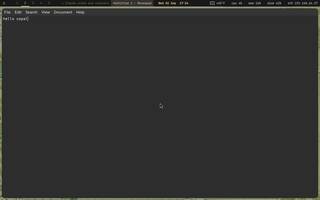 Mousepad (small GUI editor), running on Copal