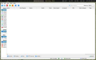 qBittorrent (torrents), running on Copal