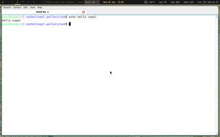 QTerminal (Qt, drop-down mode), running on Copal
