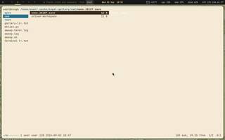 ranger (terminal file manager), running on Copal