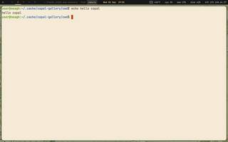 Sakura (small GTK, tabs), running on Copal