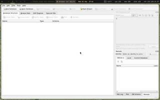 SQLite browser, running on Copal