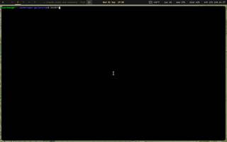 st (suckless - smallest and quickest), running on Copal