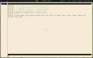 WeeChat (IRC), running on Copal