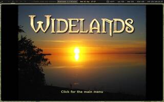 Widelands (settlers-like), running on Copal