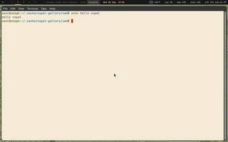 Xfce Terminal (featureful GTK), running on Copal