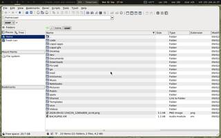 Xfe (two-pane file manager), running on Copal